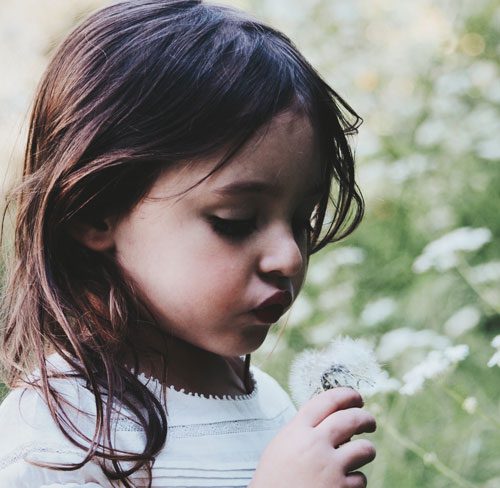 A girl blowing on dandelions.